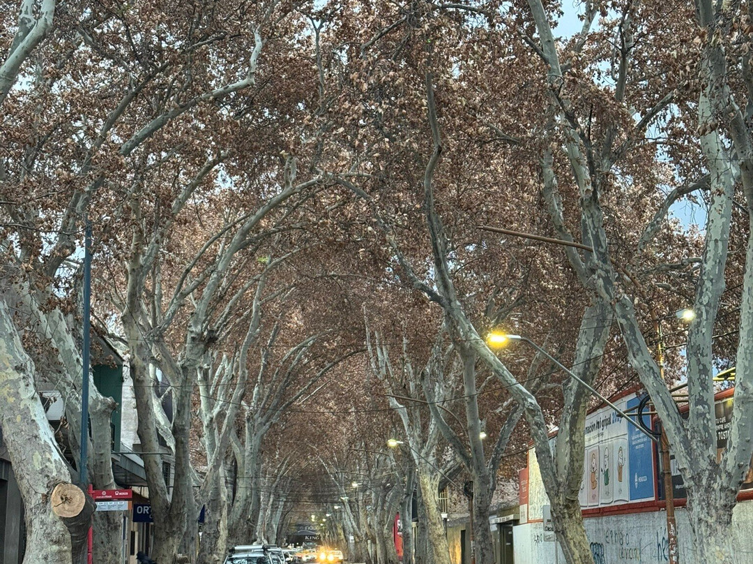 Gran Hotel Dakar主图