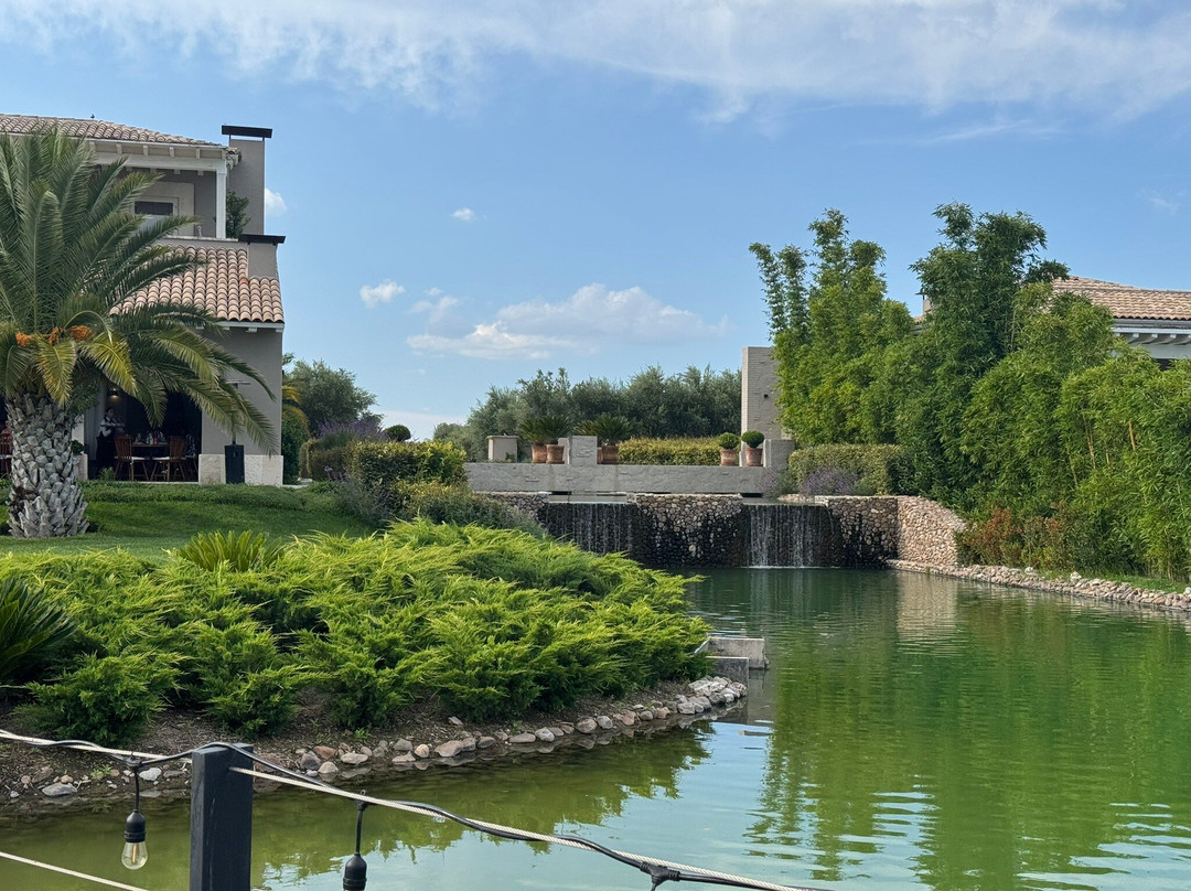 Viñedos Santa Catalina主图