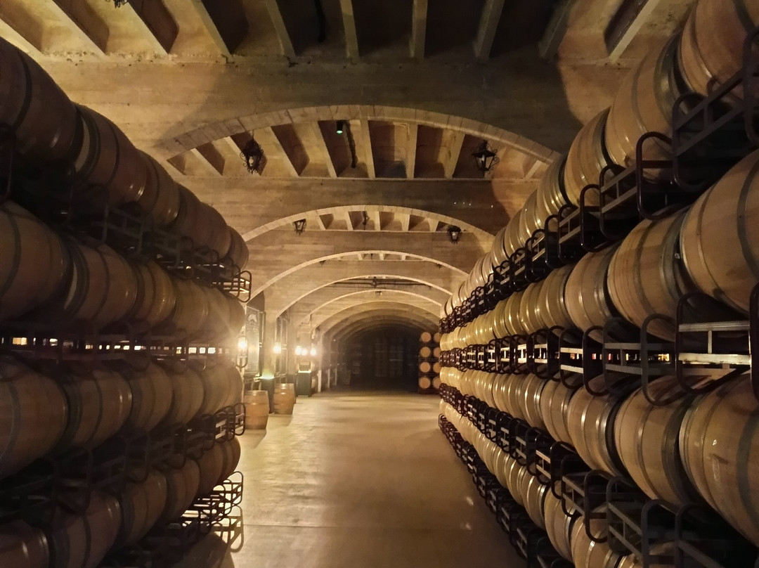 Bodegas Solar de Samaniego-拉瓜迪亚必去景点