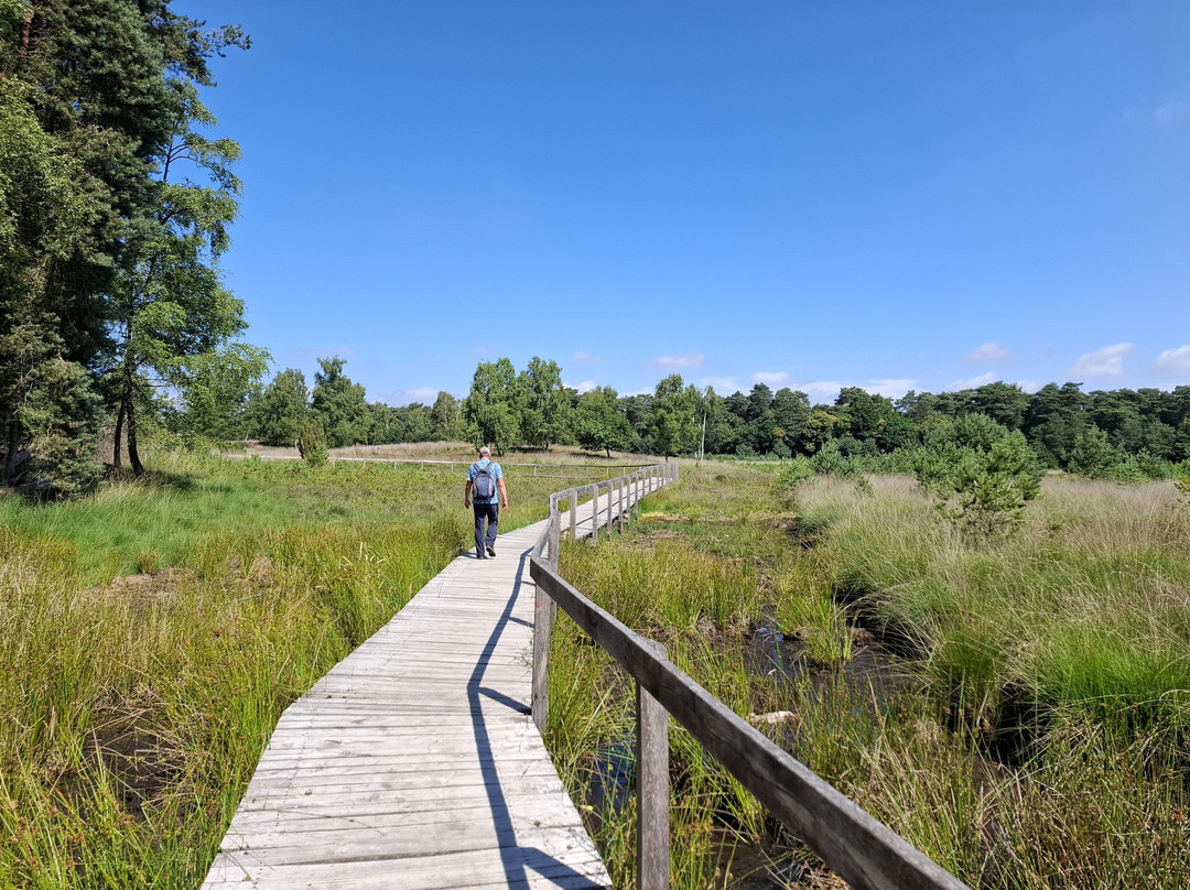 Moorerlebnisweg-韦瑟尔必去景点