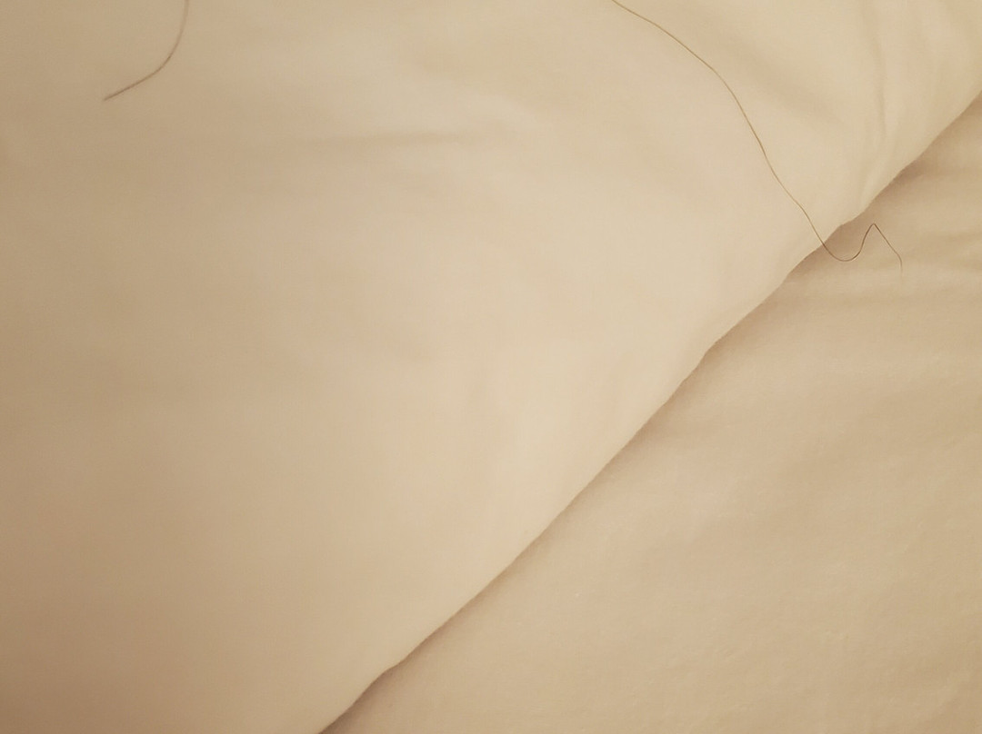 Hampton Inn Atlantic City/Absecon主图