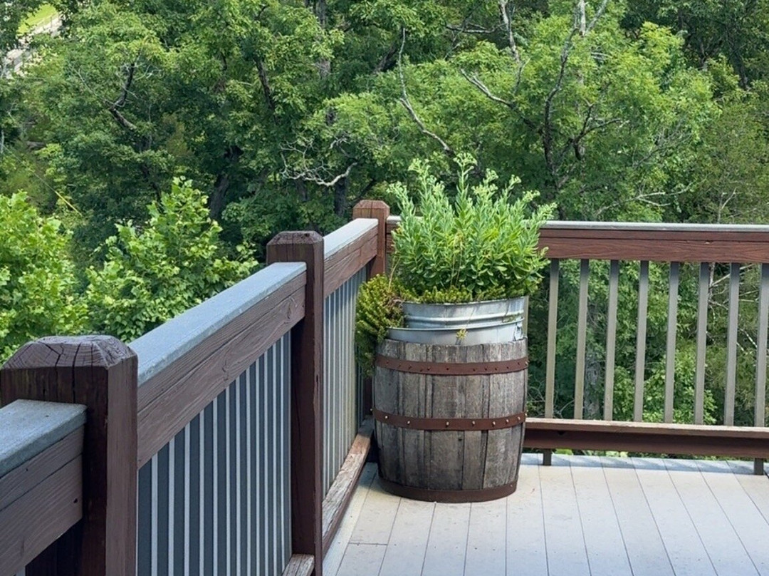 Branson Zipline at Wolfe Mountain-Walnut Shade必去景点