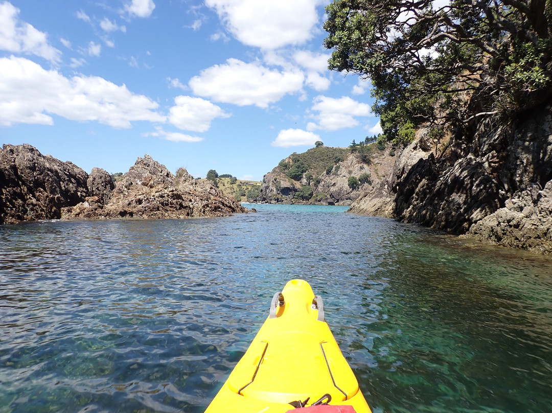 Northland Outdoor Adventures-Whangaroa必去景点