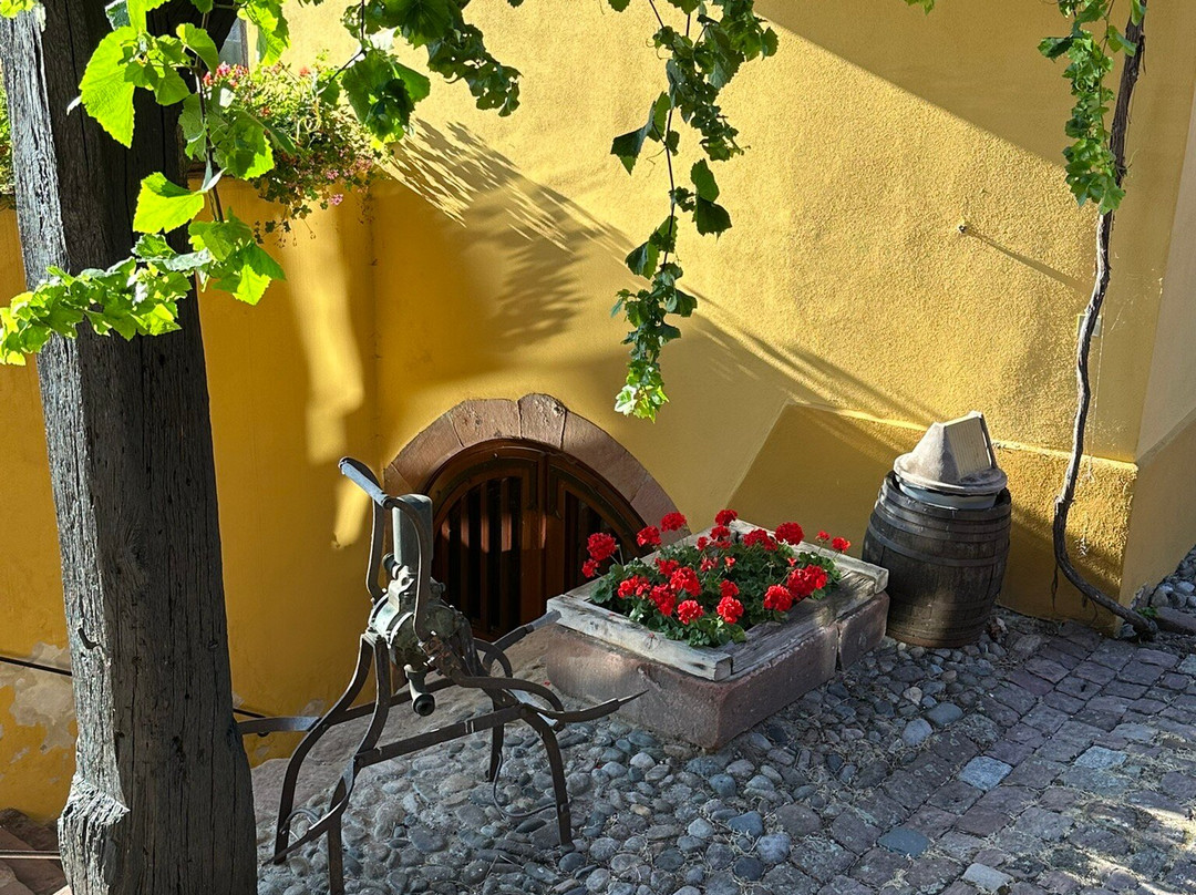 Hotel l'Abbaye d'Alspach主图