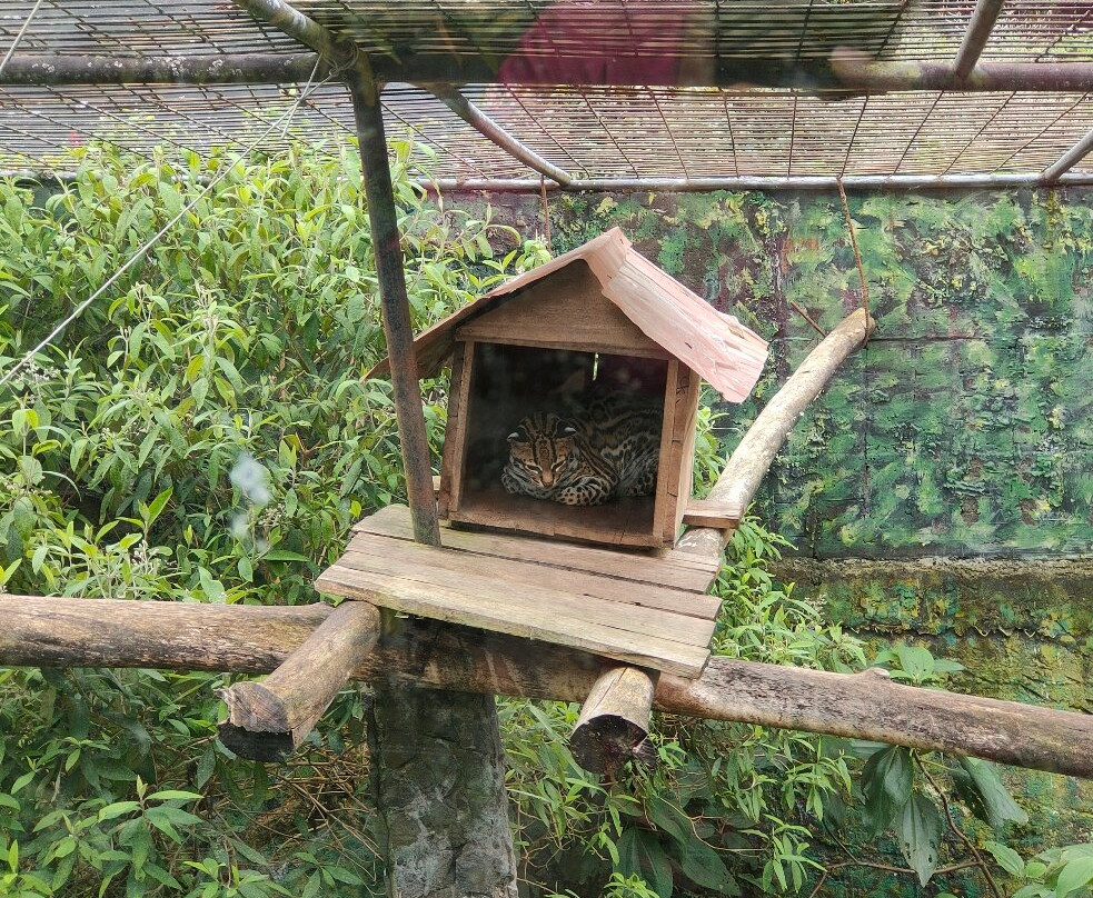 Zoologico de San Martin-巴尼奥斯必去景点