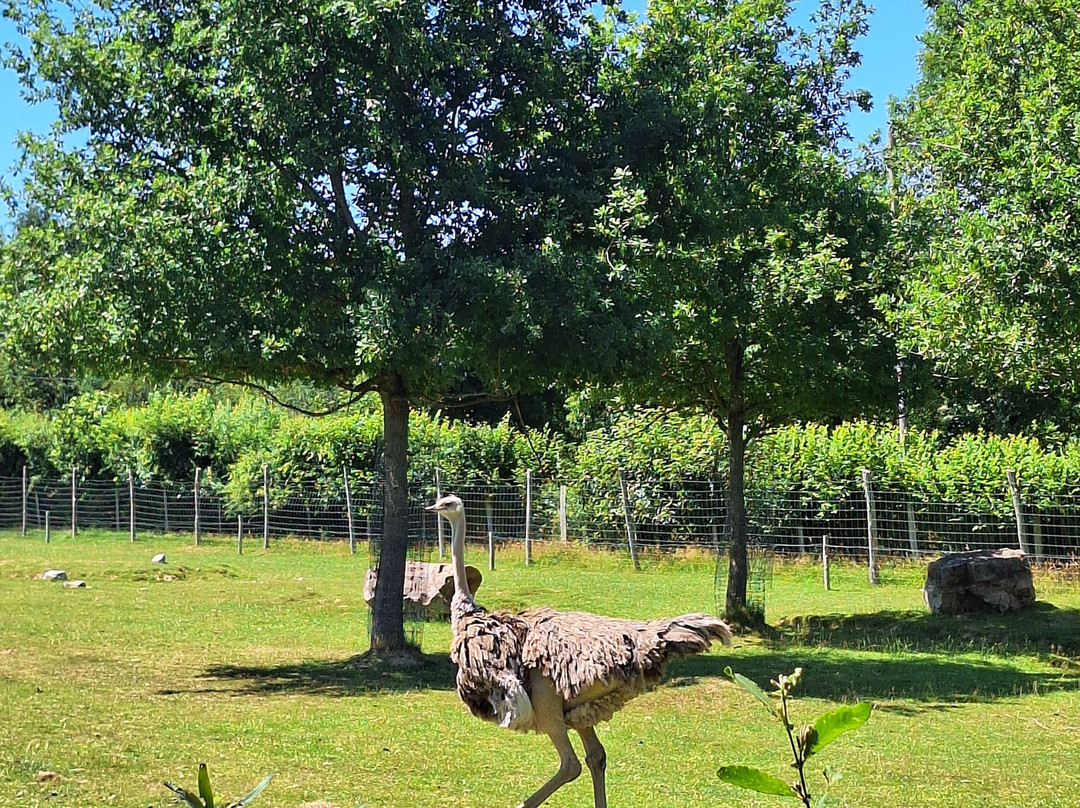 Parc Animalier d'Ecouves-Le Bouillon必去景点