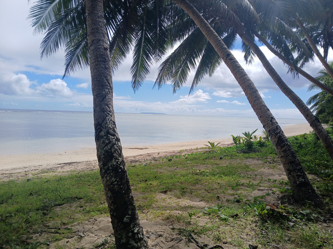 Heli-Tours Fiji-纳迪市必去景点