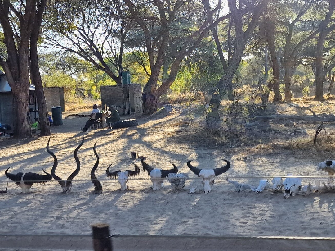 Camelthorn Lodge主图