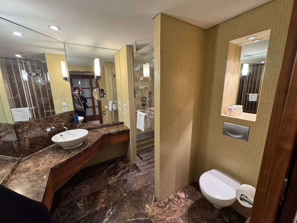 维也纳时尚丽笙酒店-浴室