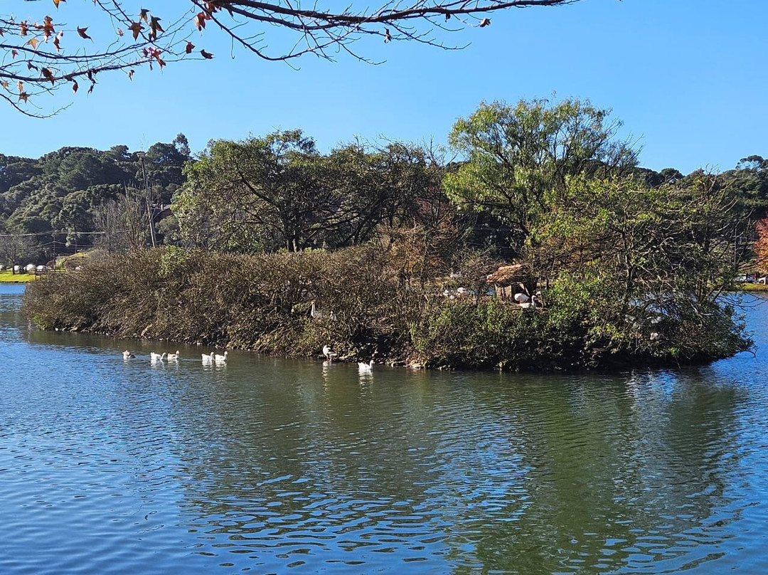 Lago Sao Bernardo-Sao Francisco de Paula必去景点