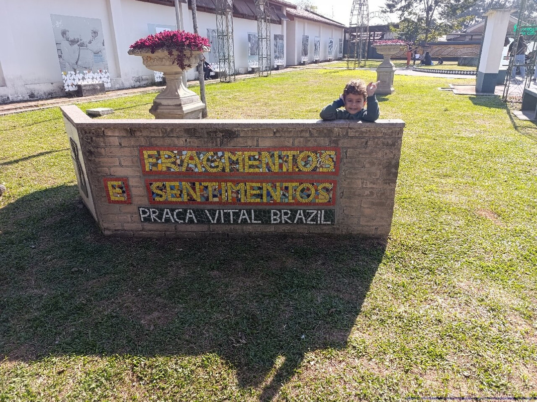 Butantan Institute-圣保罗必去景点