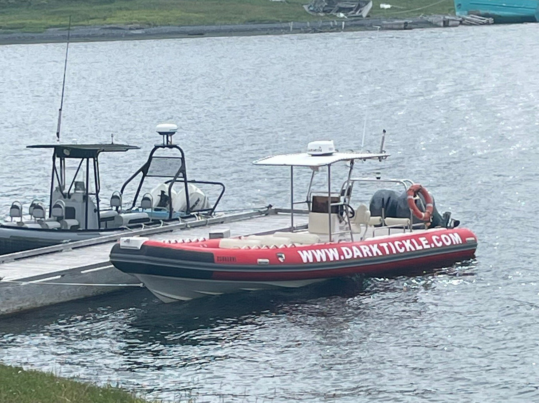 The Dark Tickle Co.-纽芬兰及拉布拉多必去景点