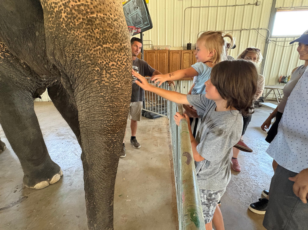 The Endangered Ark Foundation-Hugo必去景点