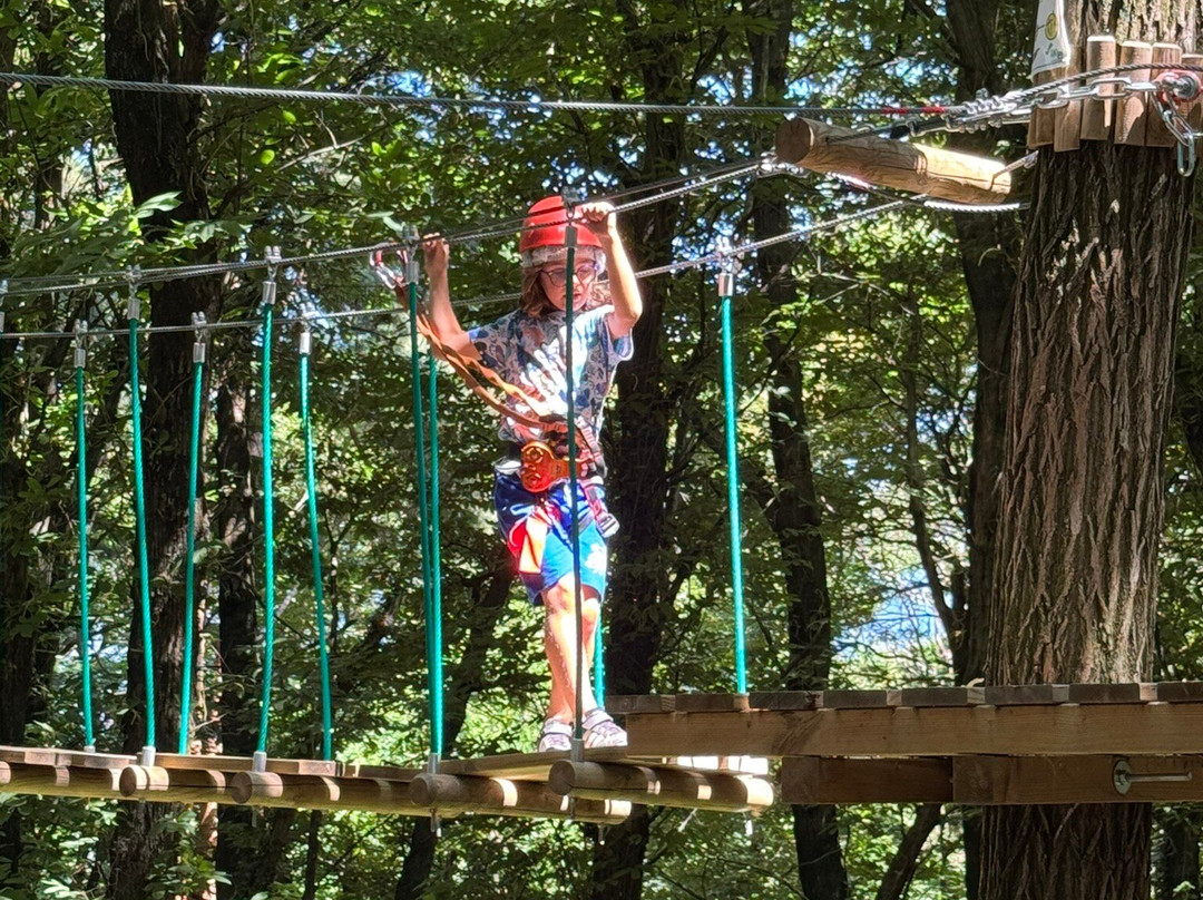 Wonderwood Spina Verde-Colverde必去景点