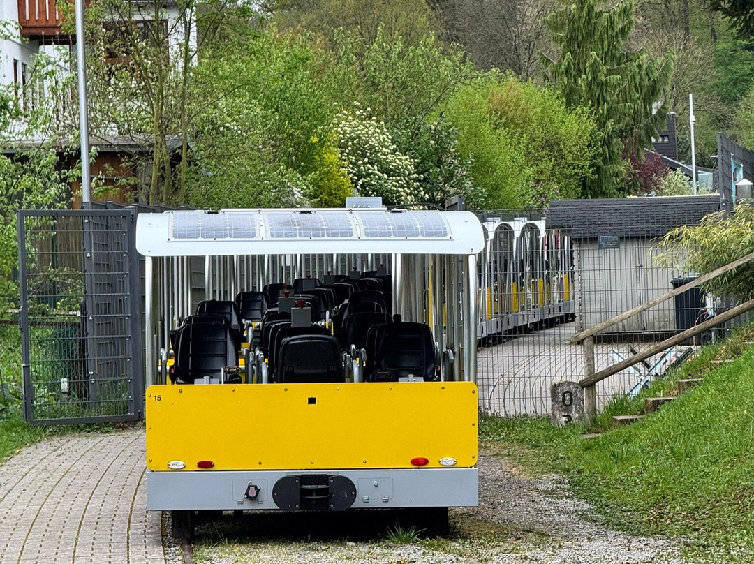 Ueberwaldbahn-Wald-Michelbach必去景点