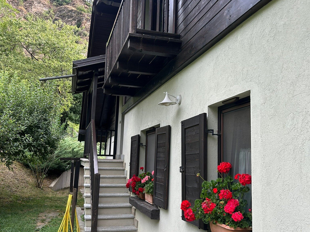 斯科蒂&Co住宿加早餐旅馆主图