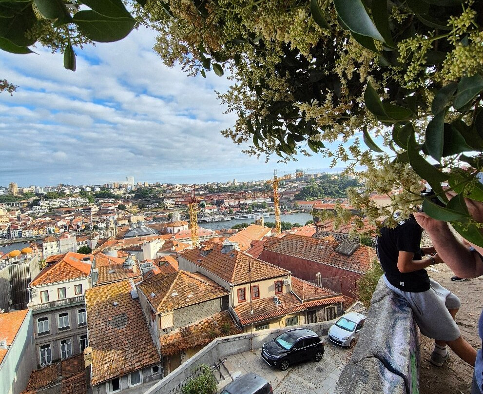 Miradouro da Vitória-波尔图必去景点