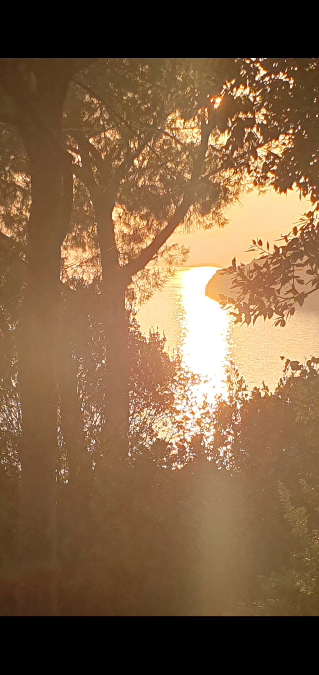 Hotel Club San Diego-官方