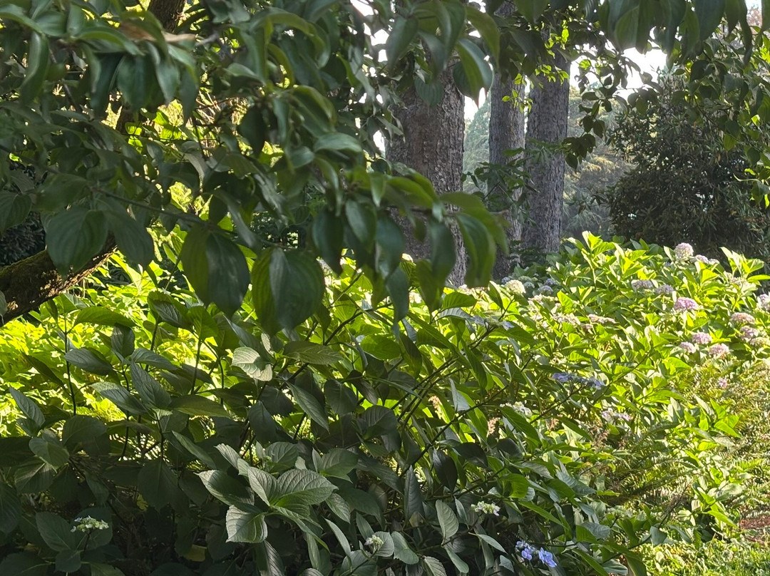 Volunteer Park-西雅图必去景点