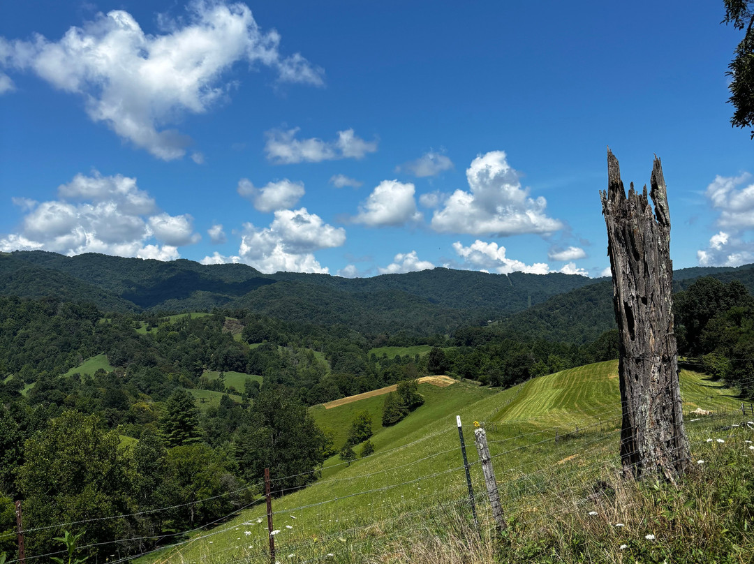 Sandy Bottom Trail Rides-Marshall必去景点
