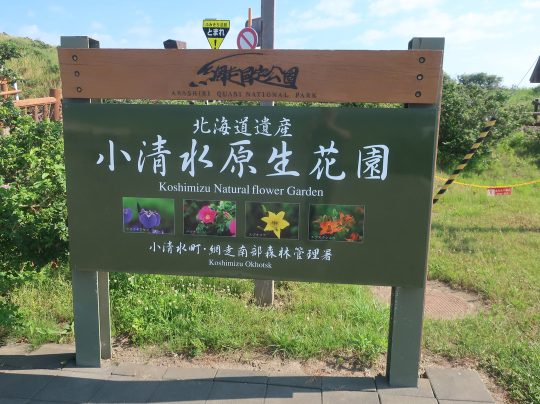 小清水原生花園-小清水町必去景点