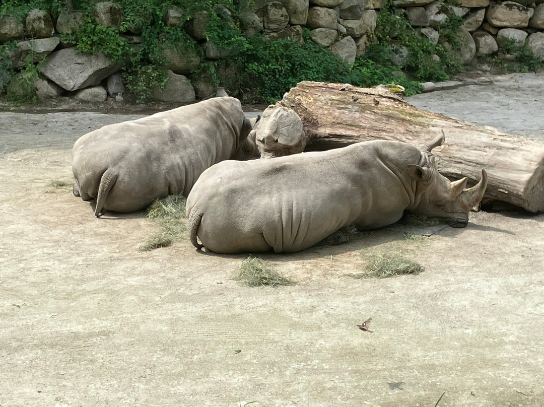 Southwick's Zoo-Mendon必去景点