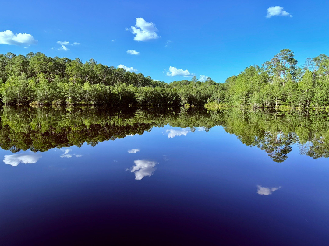 Laura S. Walker State Park-Waycross必去景点