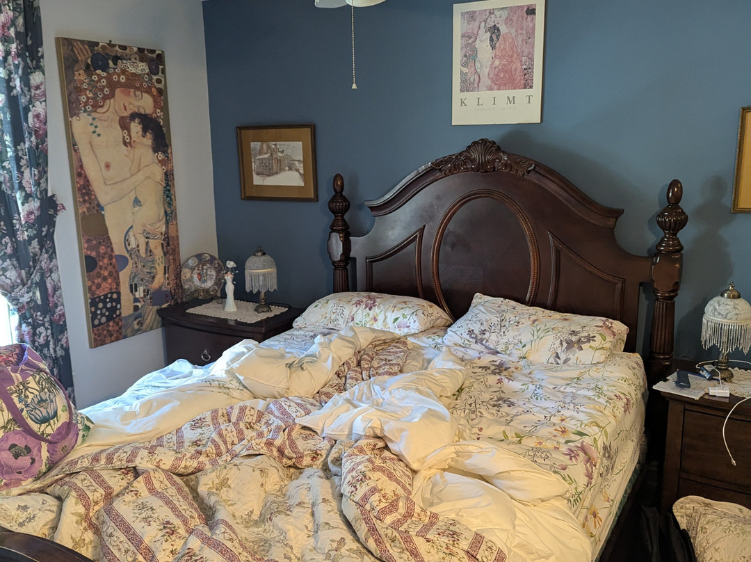 Bondy House Bed & Breakfast主图