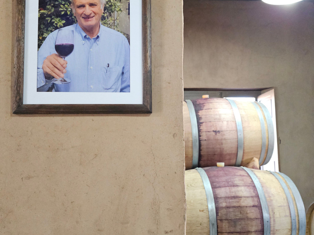 Bodega Entre Tapias-Barreal必去景点