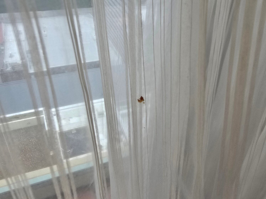 赛贝尔里斯等策查斯伍德酒店主图