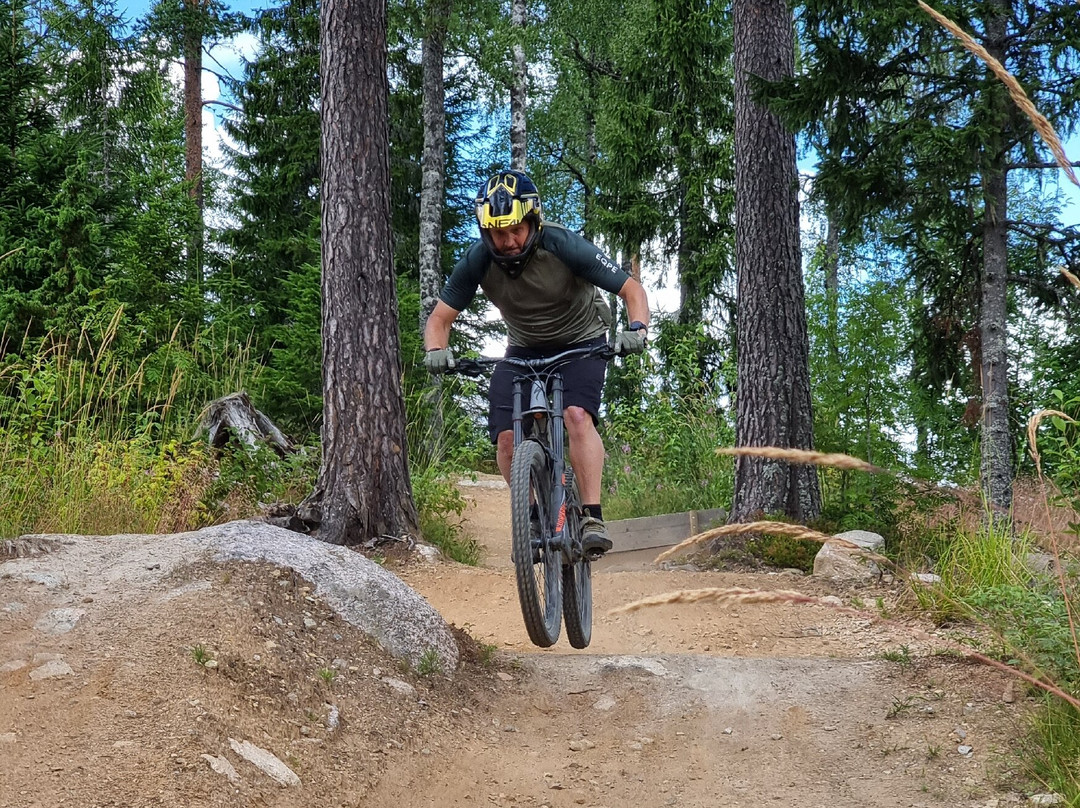 Kungsberget-Jarbo必去景点