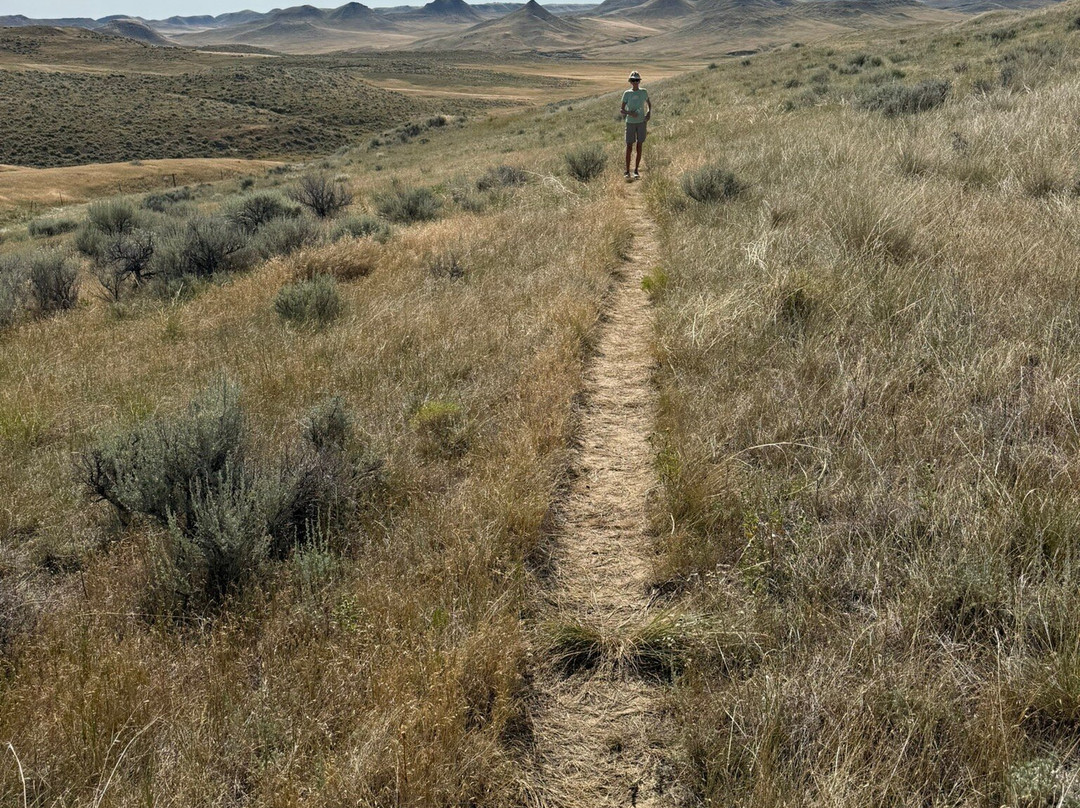 Dry Creek Petrified Forest-布法罗必去景点