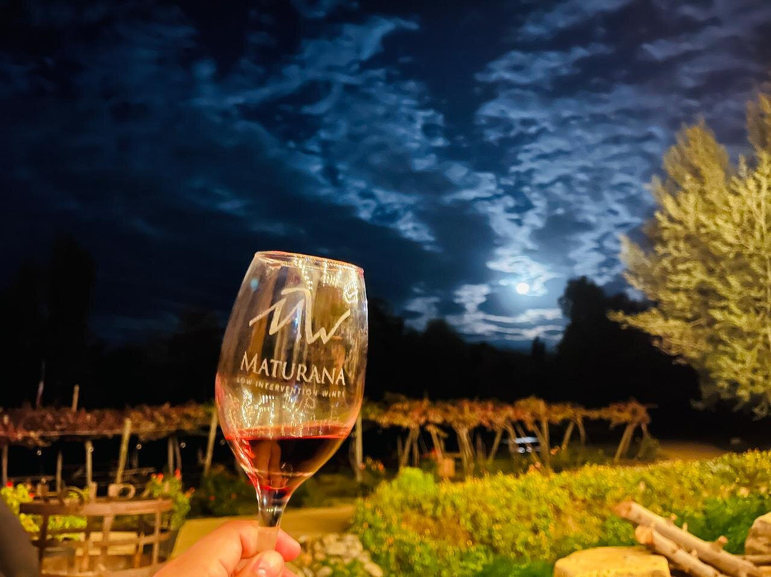 Maturana Wines-San Fernando必去景点