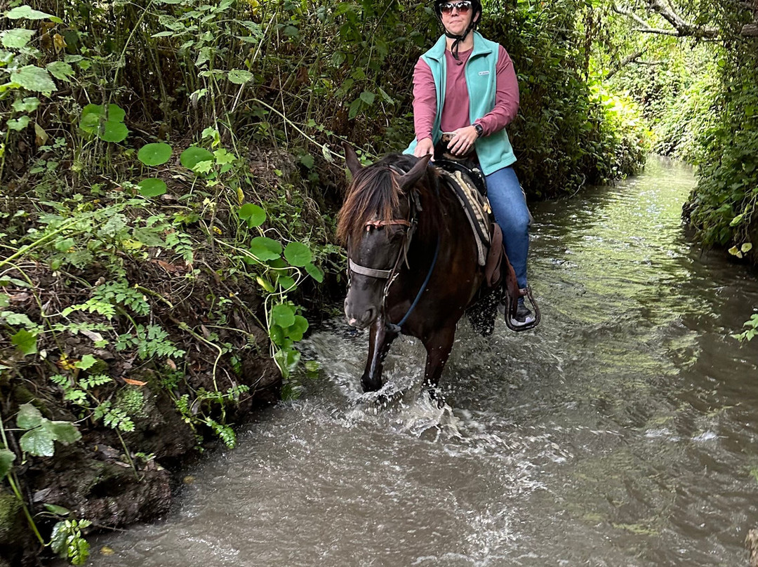 Sea Horse Ranch-半月湾必去景点