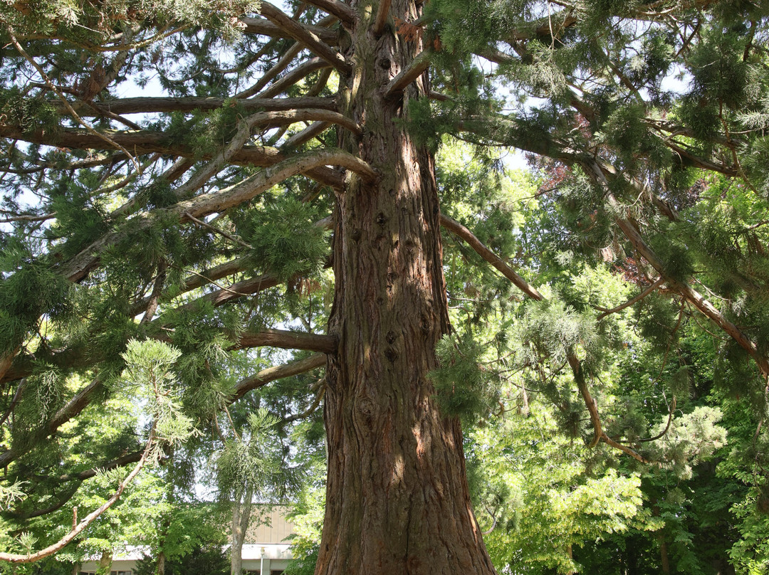 Toskana Park-葛姆登必去景点