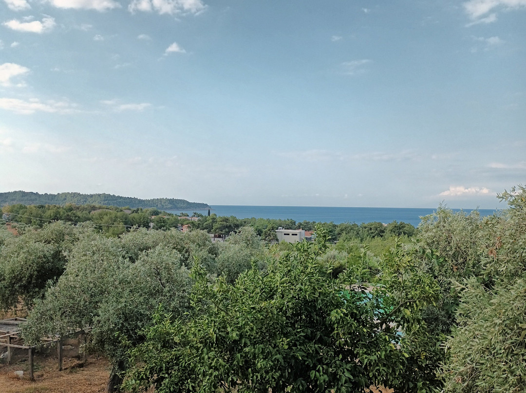 Moonbeam Hotel主图