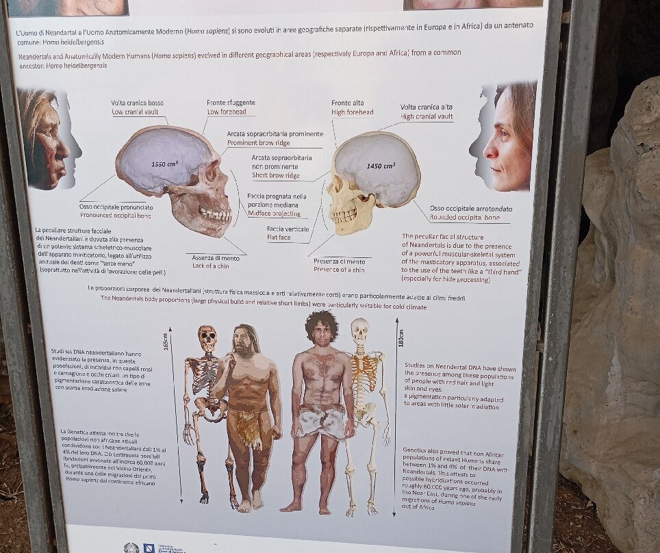 Grotta Preistorica della Cala-Marina di Camerota必去景点