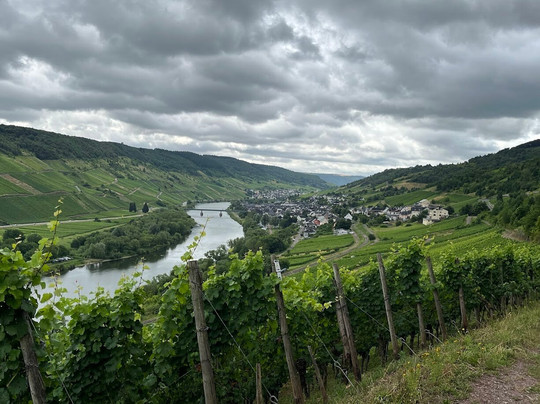 WeinBergHotel Nalbach Reil/Mosel主图