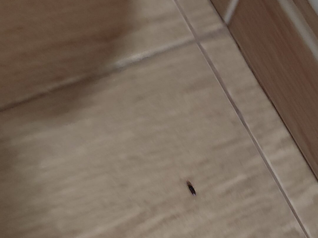 Pension Venta de Tebar主图