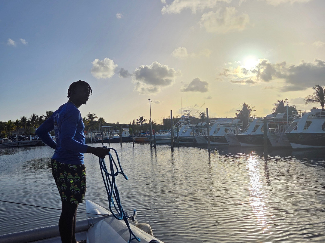 Lady Turkuoise-普罗维登西亚莱斯必去景点