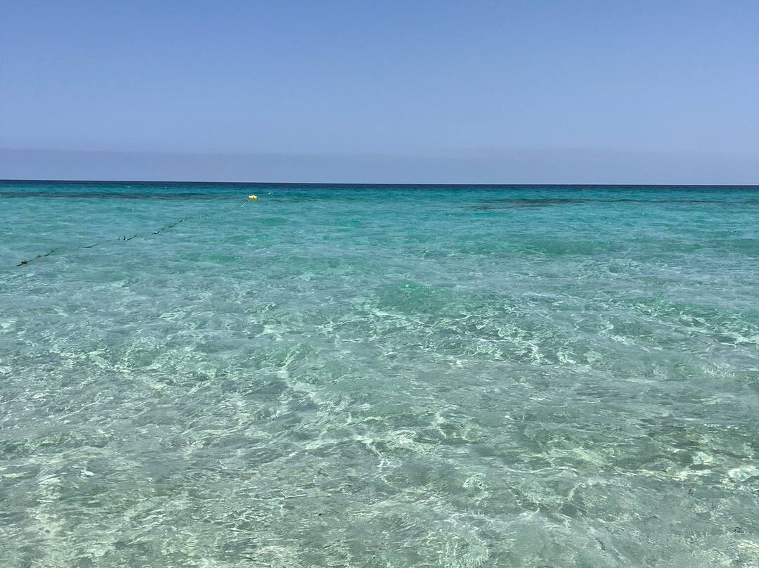 莱万特海滩-福门特拉岛必去景点