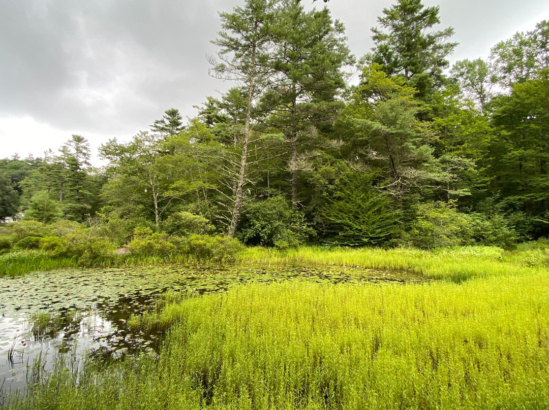 Highlands Biological Station, Nature Center and Botanical Gardens-海兰兹必去景点