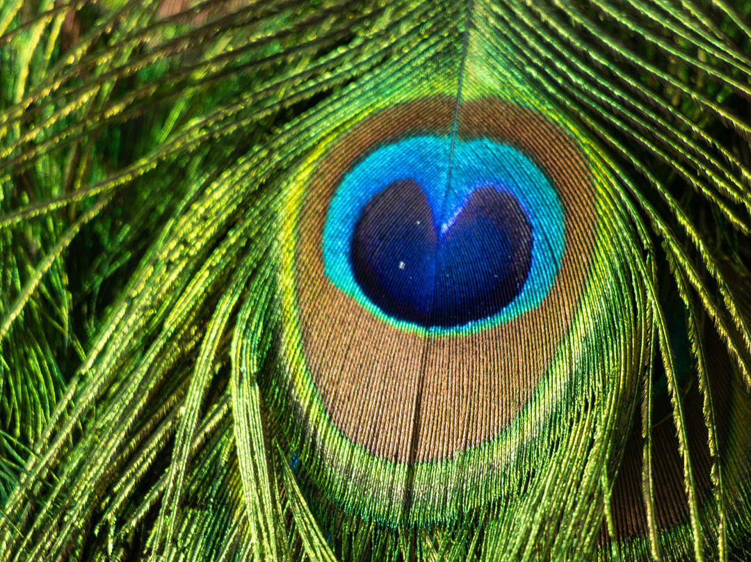 Parque natural de flora y fauna Dr. Talice-Trinidad必去景点