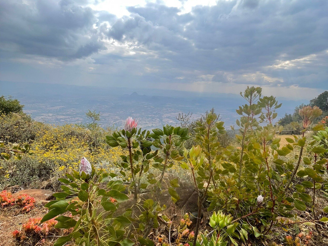 World's View-尼扬加必去景点