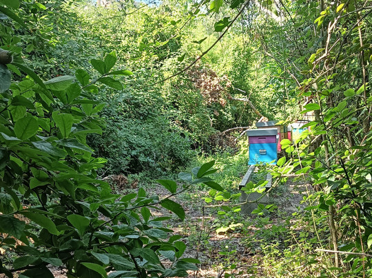 Oasi Naturalistica-Tortoreto必去景点