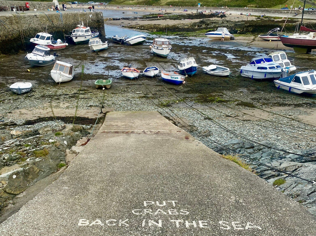 Cemaes Harbour-Cemaes Bay必去景点
