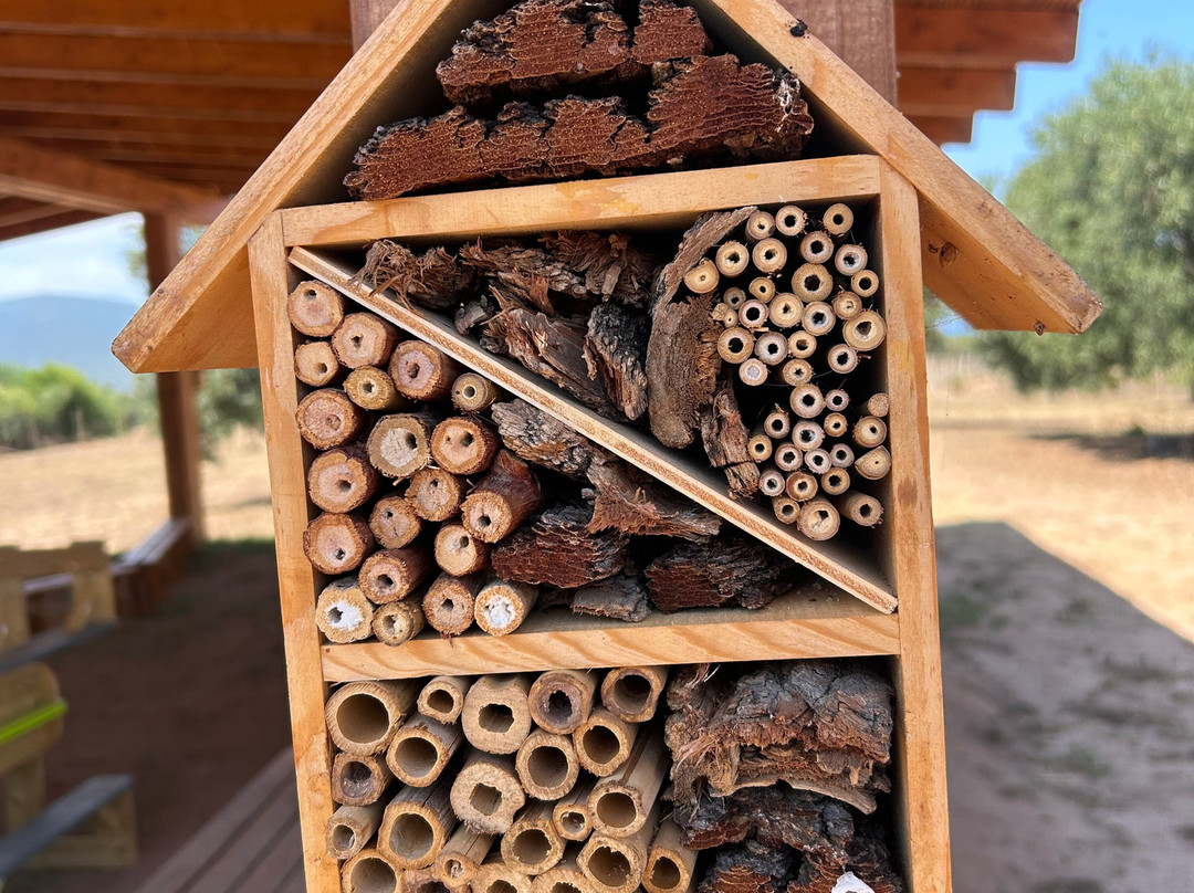Bee Garden Alghero-阿尔盖罗必去景点