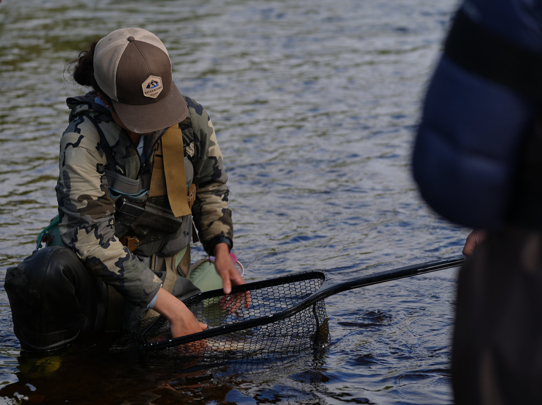 Natventure Tours-古斯塔夫斯必去景点