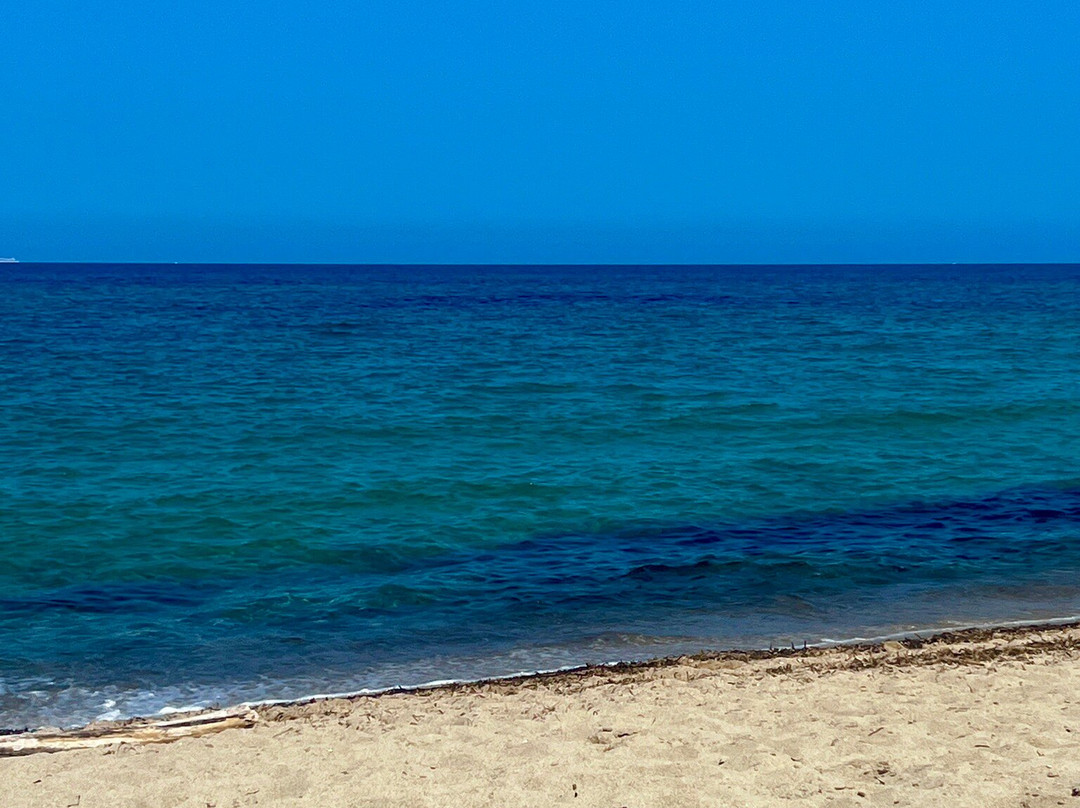 Dog Friendly Beach-Badesi必去景点