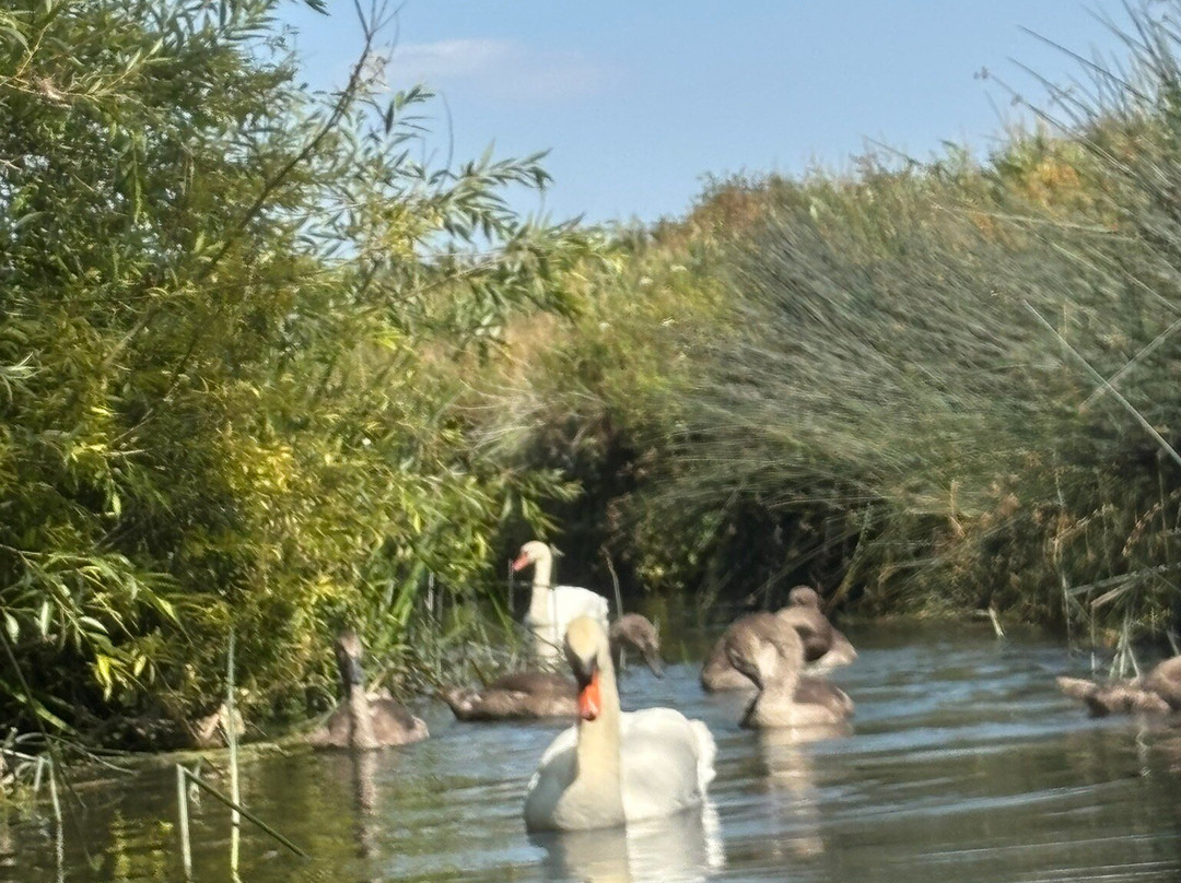 Cotswold Canoe Hire-莱奇莱德必去景点